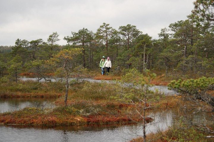 Experience Image img2