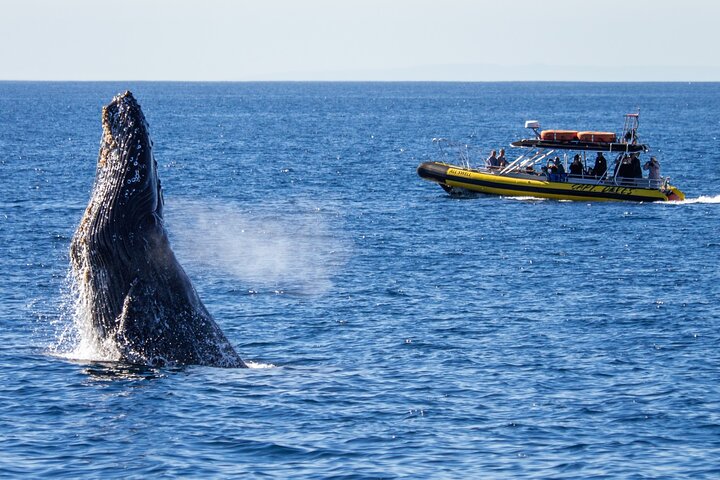 Experience Image img2