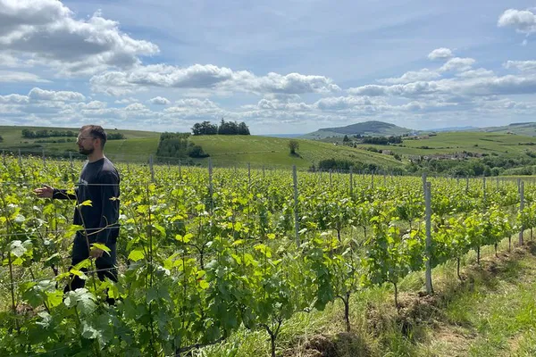 Uncork Beaujolais: A Luxurious Vintage Wine Tasting Journey