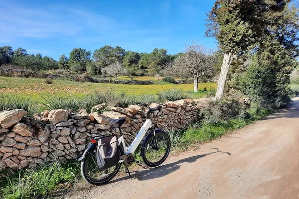 Glide Through Ibiza's Heart: E-Bike Adventure to Santa Gertrudis
