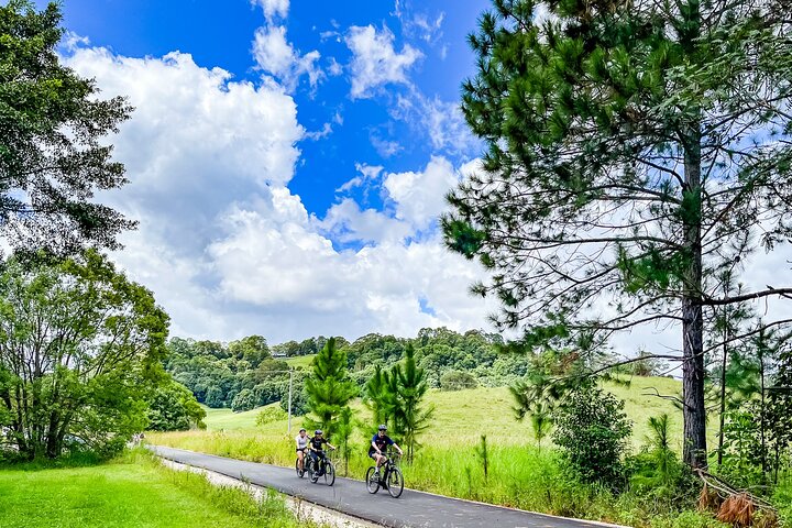 Explore Northern Rivers Rail Trail: E-Bike Adventure at Your Pace!