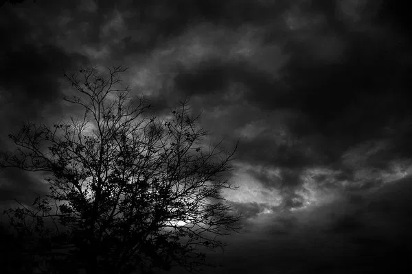 Uncover Salem's Dark Past: An Adults-Only True Crime Walking Tour