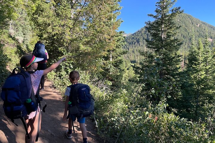 Experience Image img3