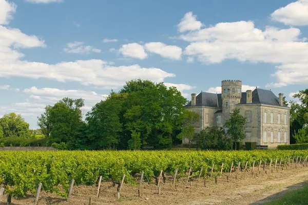 Médoc Wine Region: Private Bordeaux Cruise Excursion