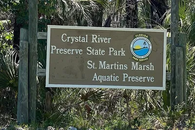 Discover Crystal River's Wildlife: An Immersive Boat & Nature Tour!