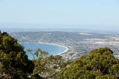 Mornington Peninsula: A Full-Day Guided Adventure Through Wineries and Wonders