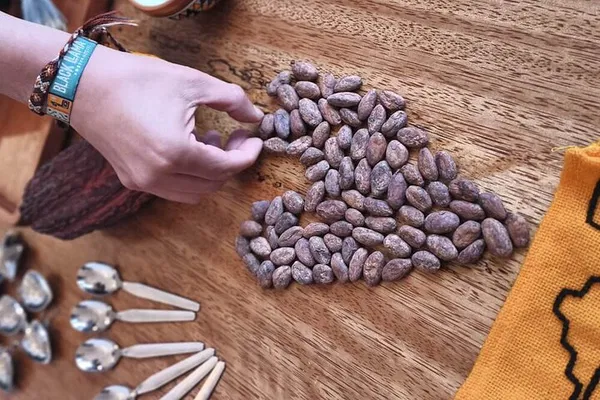 Brussels Chocolate Workshop: Bean to Bar Fun!