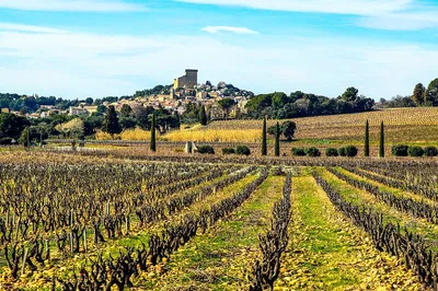 Rhône Valley Wine Tour: 2-Day Vineyard Discovery