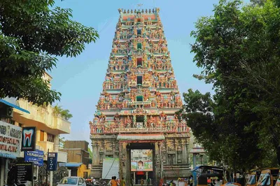 Chennai's Cultural Tapestry: A Full-Day Guided City Expedition