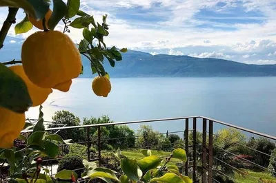 Verona to Lake Garda: A Luxurious Day of Wine and Wonders