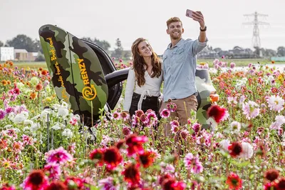 Electric Dune & Flower Tour: Cruise South Holland's Beauty