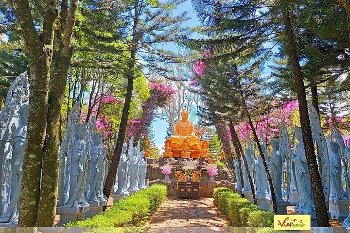 Experience Image img2