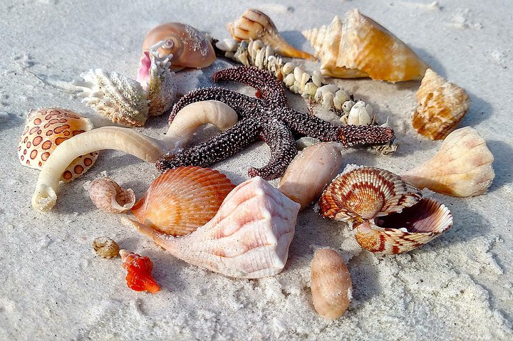 Experience Image img1