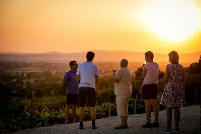 Assisi Winery Tour: Taste Umbrian Wines & Flavors