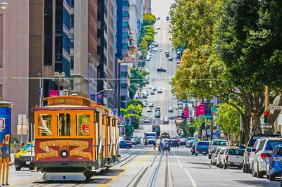 San Francisco Private City Tour: Unveiling Iconic Landmarks