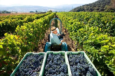 Unveiling Valpolicella: A Private Food, Wine & Nature Escape