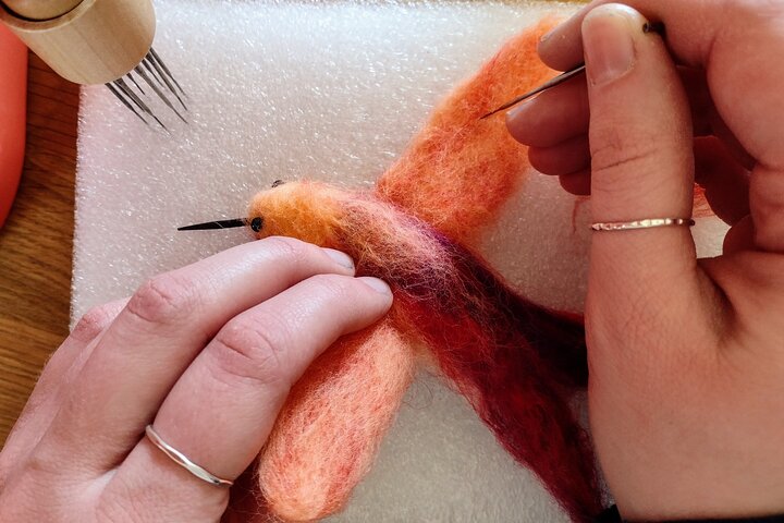 Experience Image img2