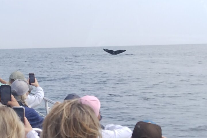 Experience Image img4