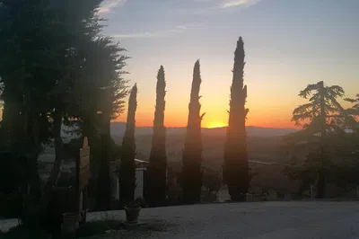 Brunello Wine Tour: Taste Tuscany's Best + UNESCO Valley