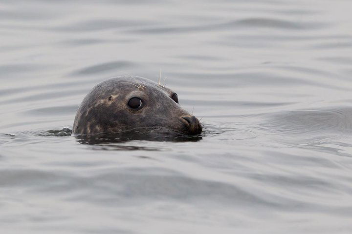 Experience Image img1