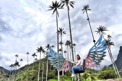 Cocora Valley Hike: Discover Salento's Tallest Palms!