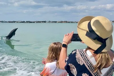 Marco Island Dolphin Tour: Best Wildlife Encounters!