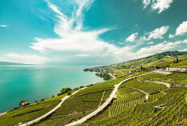 Swiss Riviera Unveiled: Vevey, Montreux & Chillon Castle Day Trip from Geneva