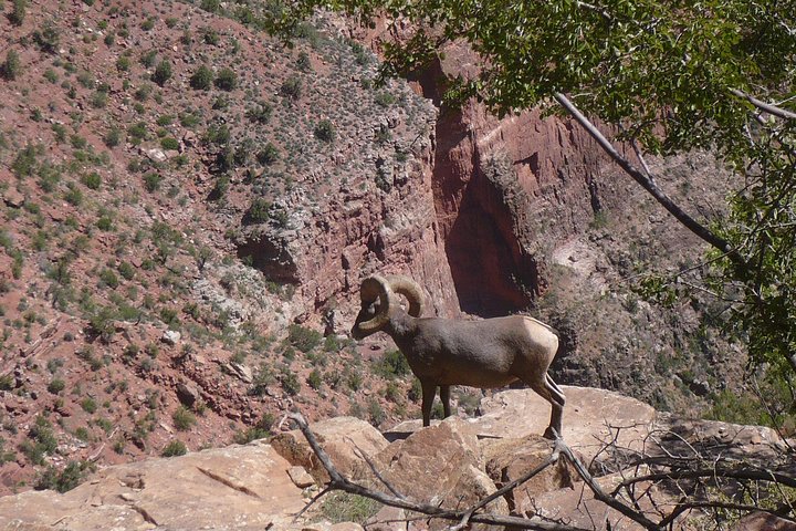 Experience Image img4