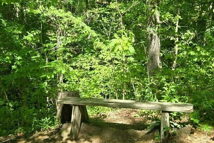 Experience Image img1