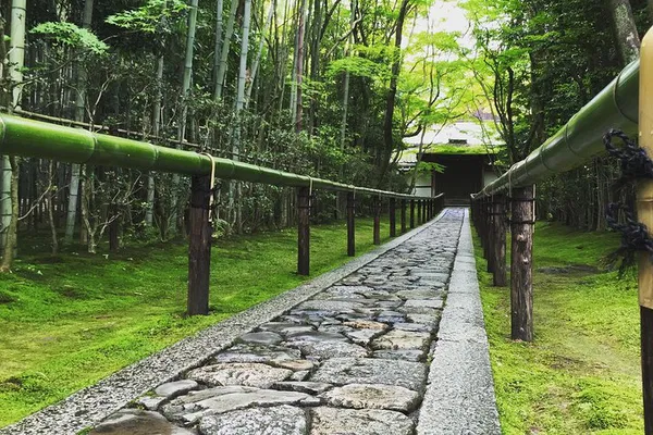 Kyoto E-Bike Tour: Uncover Hidden Gems & Golden Temple