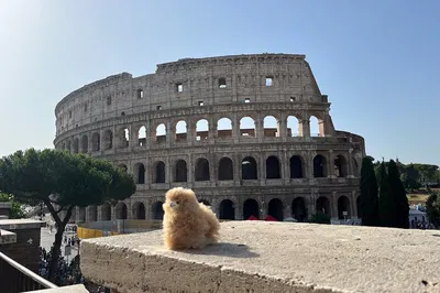 Unveiling Ancient Wonders: A Personalized Roman Walking Adventure