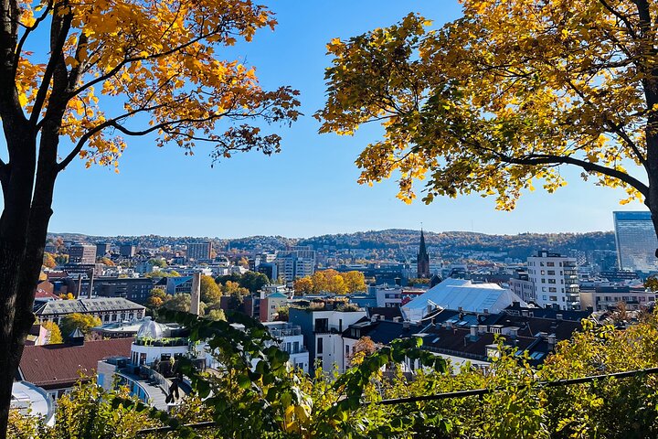 Experience Image img3