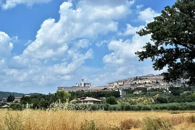 Discover Assisi: Uncover Sacred History on a One-Hour Walking Tour