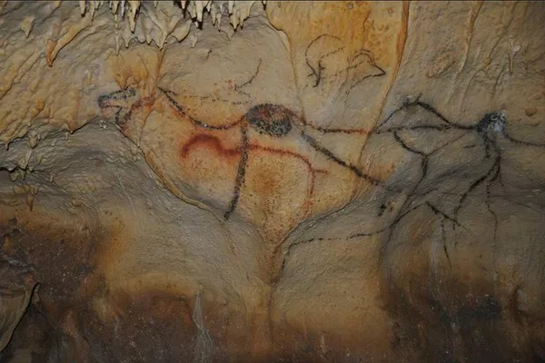 Unearth History: Private Cave & Castle Tour in Dordogne Valley