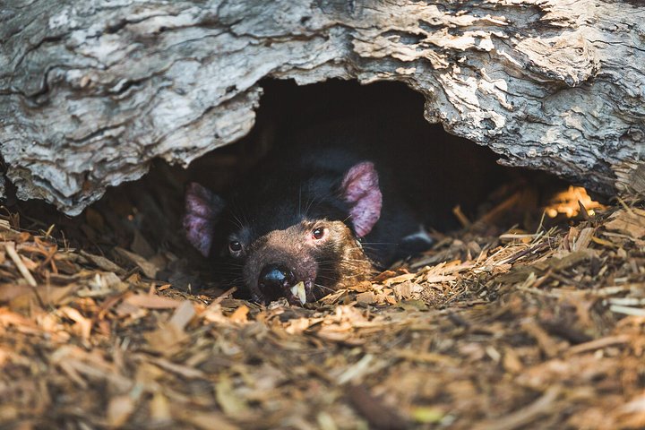 Experience Image img3