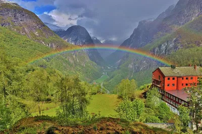 Sognefjord Summer Tour: Private Trip from Bergen