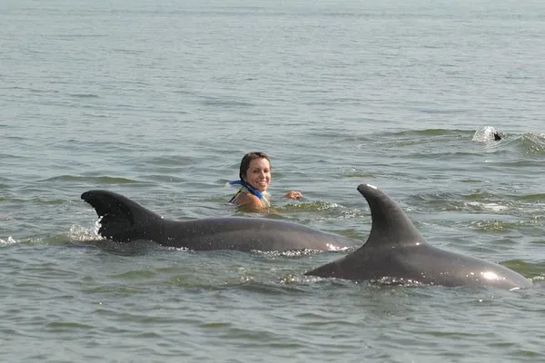 Swim with Dolphins: Puerto Vallarta's Wild Adventure!