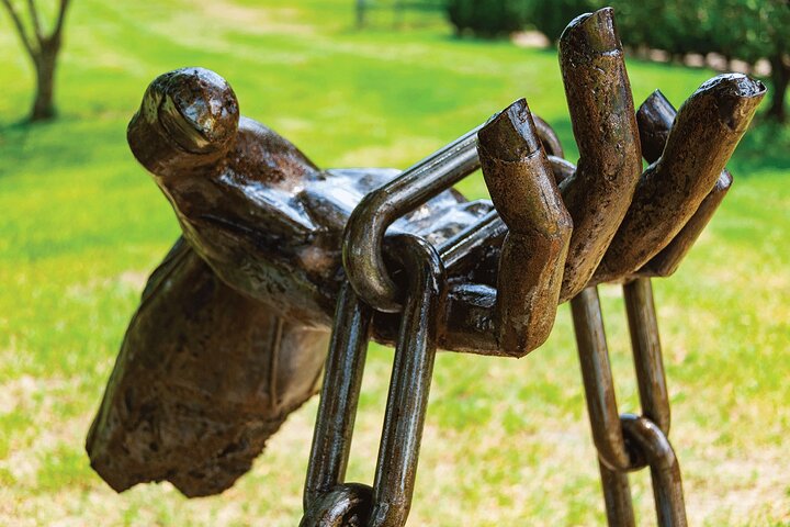 Experience Image img3