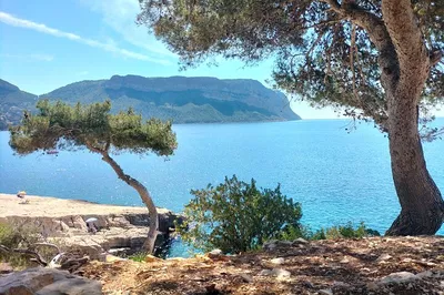 Unveiling the French Riviera: A Private Journey Through Cassis, Calanques & Marseille with Wine Tasting
