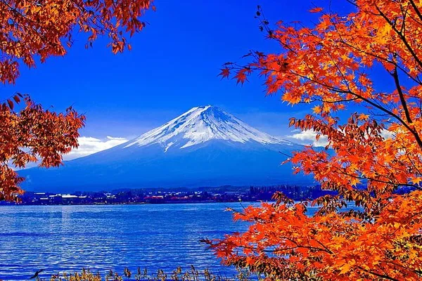 Mt. Fuji Private Tour: See Japan's Best Views!
