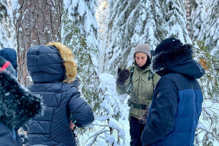 Experience Image img2