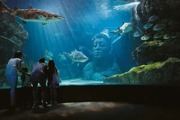 Dive into Wonder: Bangkok's Sea Life & Madame Tussauds Adventure