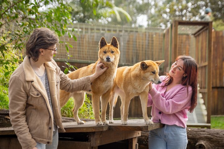 Experience Image img3