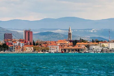 Unveiling Koper's Charms: A Private Coastal Day Trip