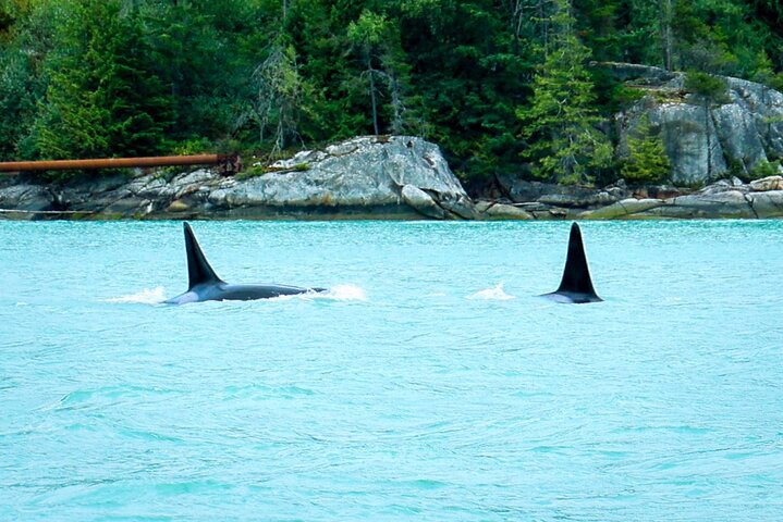 Experience Image img3