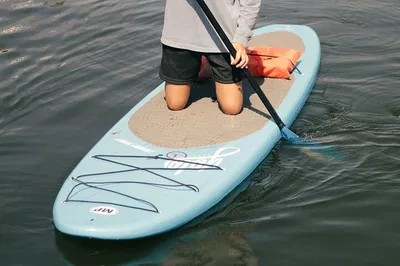 Crystal River Paddle Board Rental: 3-Hour Adventure