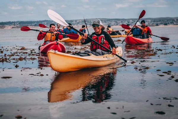 Monterey Bay Kayak Adventure: Paddle with Otters, Seals & Sea Lions!