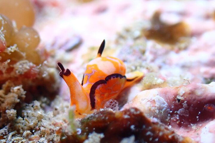 Experience Image img1