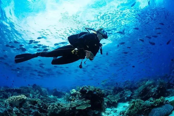Nha Trang Scuba Adventure: Dive into Coral Reef Paradise!