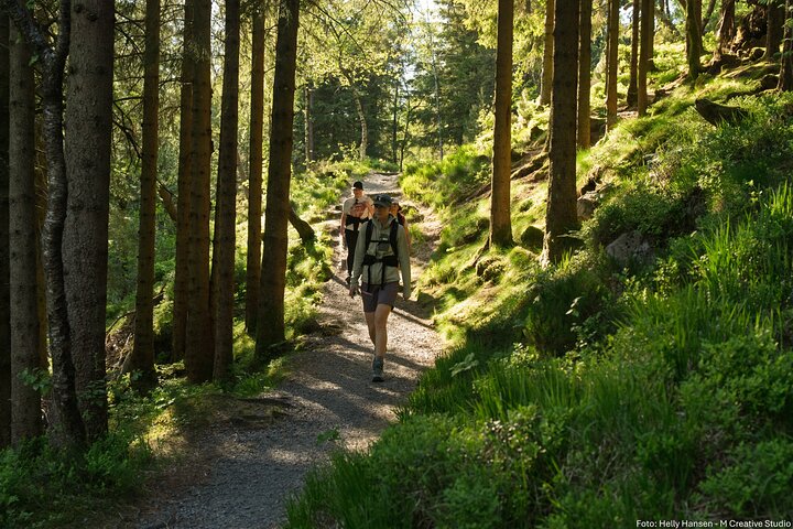 Experience Image img4